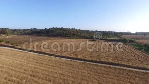 葡萄牙农村的小麦和酒田视频的预览图