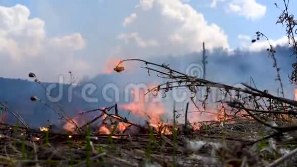 重火和烟雾对环境有害视频的预览图
