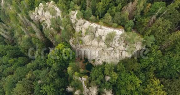 空中拍摄美丽的森林和悬崖景观视频的预览图