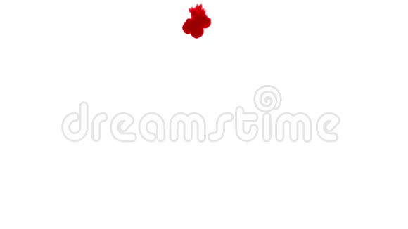 红墨水在白色背景上溶解在水中用Luma哑光计算机仿真的三维渲染V4一次流动视频的预览图