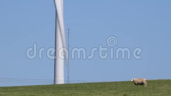 4K风力涡轮机对抗蓝天与羊草英国视频的预览图