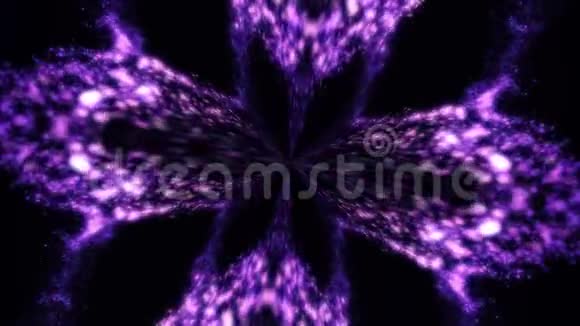黑色背景上紫色羽毛的抽象对称图案无缝环千变万化的抽象椭圆形视频的预览图