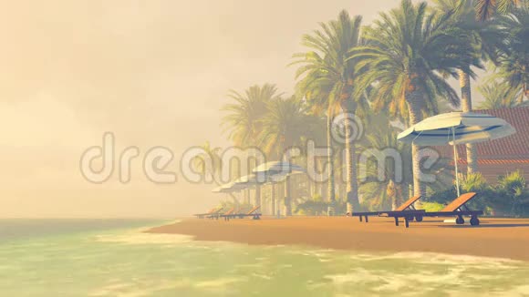 日落时热带海滩上的躺椅和阳伞视频的预览图