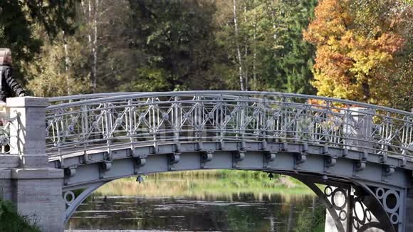 秋天公园里一条河上的桥视频的预览图