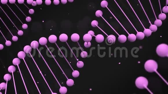 黑色背景DNA链Matt紫色模型视频的预览图
