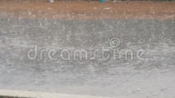 大雨落在沥青上热带降雨视频的预览图