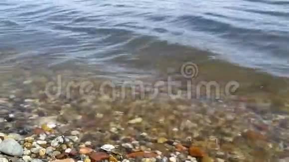 河流是天然的水道视频的预览图