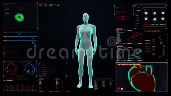女性人体扫描淋巴系统在数字显示仪表板蓝色X光灯视频的预览图