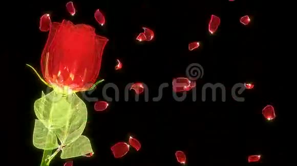 闪闪发光的玫瑰由闪闪发光的花瓣玻璃制成视频的预览图