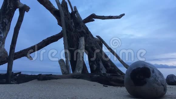 夏威夷考艾岛凯卡哈沙滩的木棍结构和椰子视频的预览图