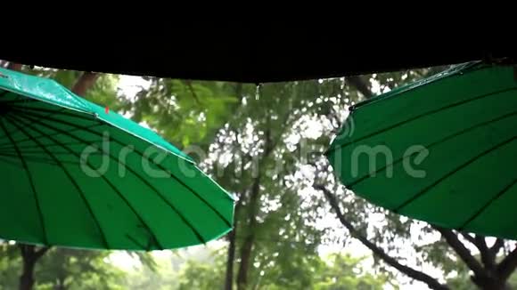 公园里的伞的一部分在雨中高清高清视频的预览图
