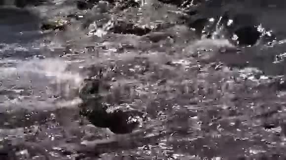 河流水流在石头之间的特写放大视频的预览图