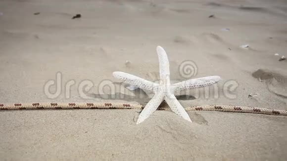 沙滩上的海星贝壳和绳子视频的预览图