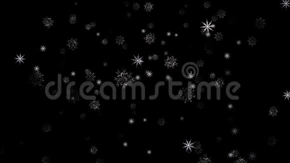 孤立的雪落在黑色的背景上雪花的抽象动画冬季背景图案优美视频的预览图