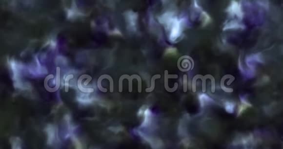太空星云中暴风雨般柔软蓬松的蓝色和紫色云的4k视频缓慢移动形成和溶解4k4096p视频的预览图