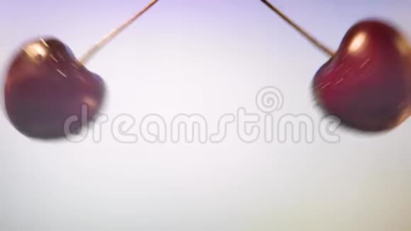 酸辣的黑樱桃洒在粉红色的背景上慢动作视频的预览图