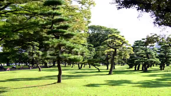 日本东京皇园树木的时间推移视频的预览图