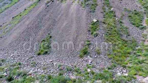 从空中俯瞰丘利什曼山谷和河流俄罗斯阿尔泰共和国视频的预览图
