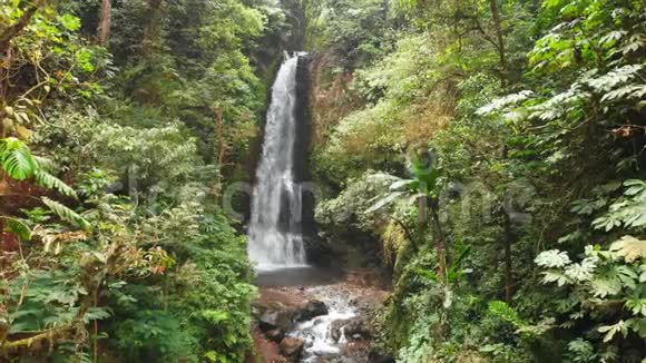 印度尼西亚巴厘岛的瀑布和丛林热带瀑布的鸟瞰图视频的预览图