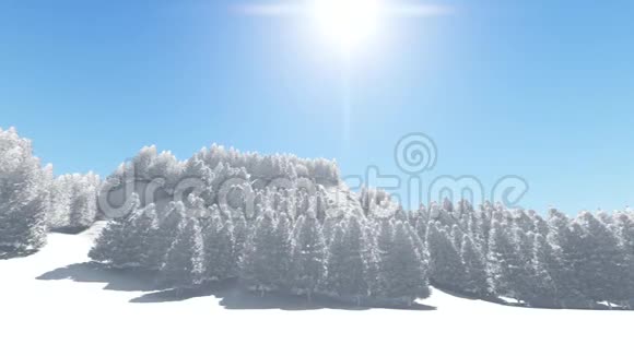 冬季森林背景视频的预览图