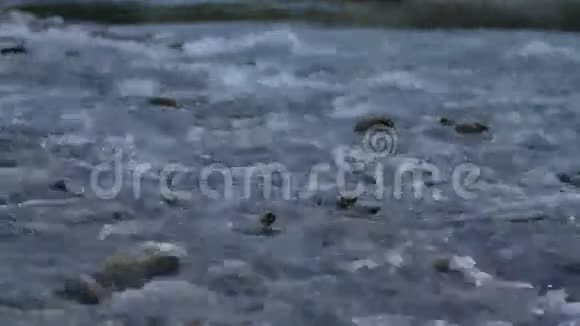 河流流动视频的预览图
