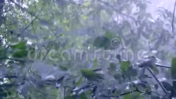 大雨倾盆大雨倾盆暴雨在白天来临视频的预览图