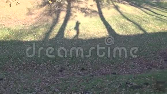 摄影师们在秋天的公园里散步视频的预览图