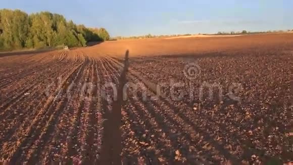 农民在傍晚的犁田上影子视频的预览图