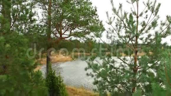 有树木和湖泊的景观视频的预览图