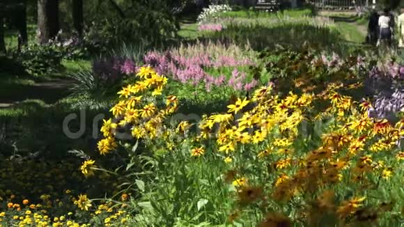 维特布斯克植物园视频的预览图