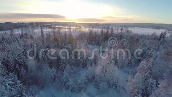 日落时分在冬林之上飞视频的预览图