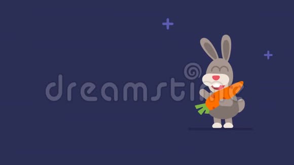 兔子和闪烁的星星有趣的动物角色中国占星术视频的预览图