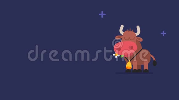 牛和闪烁的星星有趣的动物角色中国占星术视频的预览图
