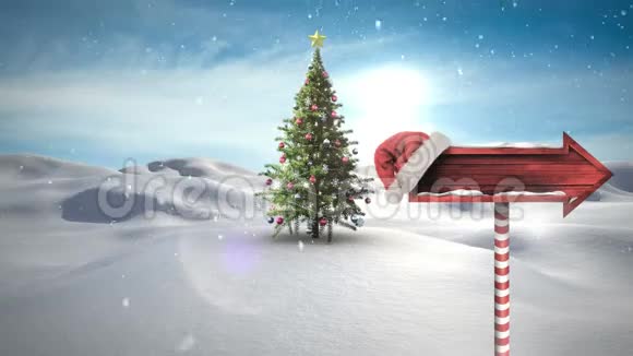 冬季景观圣诞树和箭牌视频的预览图