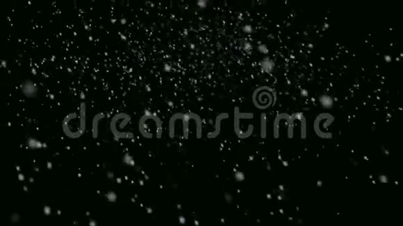 降雪雪花飞向镜头视频的预览图