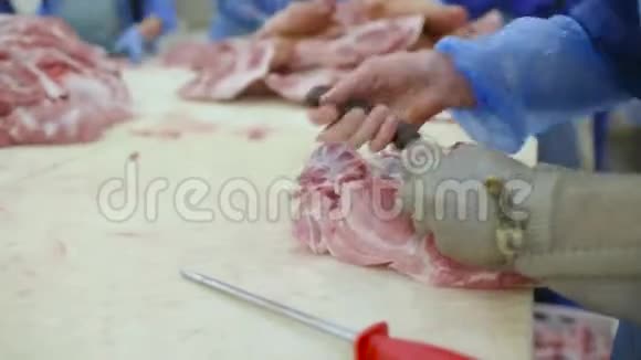 肉类加工厂的肉类加工食品工业视频的预览图