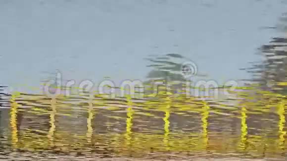 水充满活力的涟漪与倒影视频的预览图