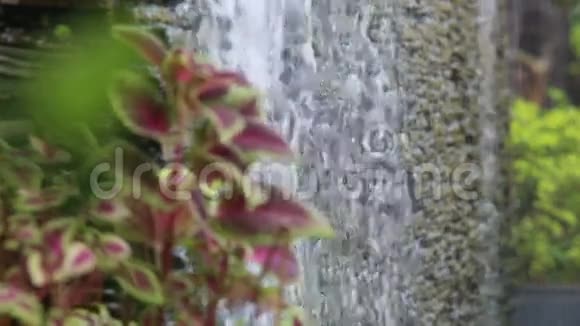 水流经人造石头视频的预览图