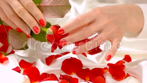 红色指甲和红色玫瑰动作缓慢视频的预览图