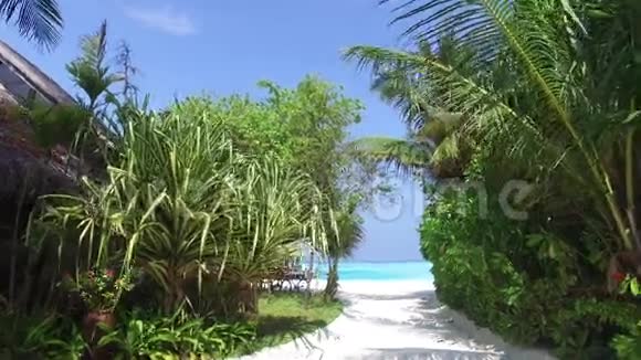 马尔代夫海滩出海视频的预览图
