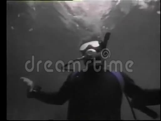 潜水员在水下游泳视频的预览图