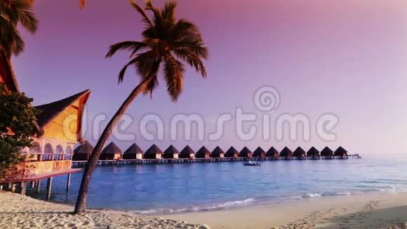 房子上空透明宁静的海水和一棵棕榈树马尔代夫视频的预览图