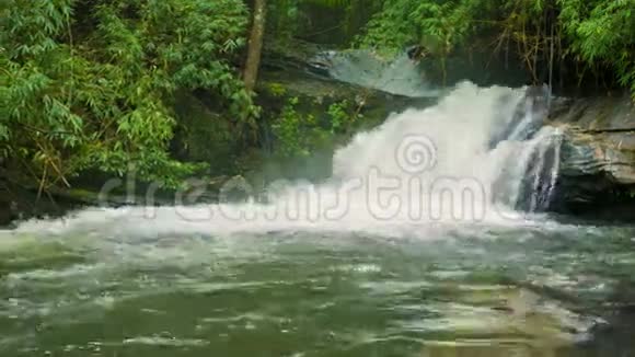 森林里有瀑布的小河泰国清迈视频的预览图