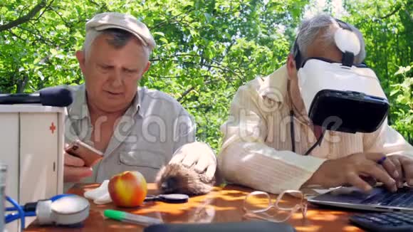 老人和老人在花园里检查刺猬视频的预览图