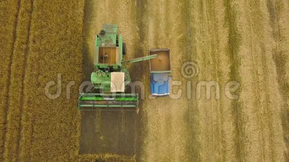 俯视图联合收割机收集小麦在日落收获粮田作物季节视频的预览图