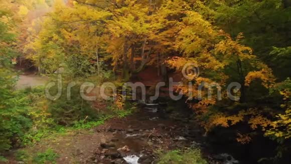 山河与秋林瀑布石头山视频的预览图