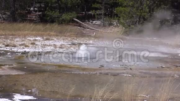 温泉间歇泉诺里斯间歇泉盆地视频的预览图
