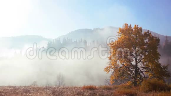 秋天的晨雾在山上视频的预览图