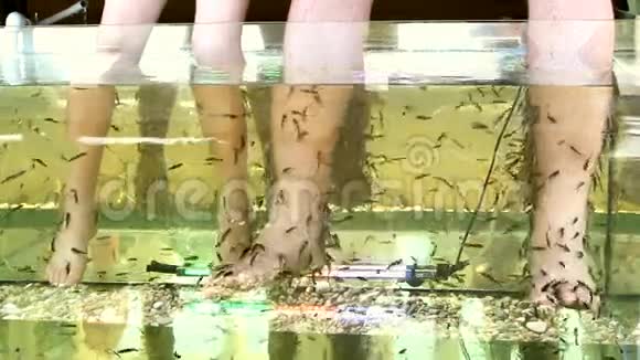 在水中剥去热带鱼的皮脚视频的预览图