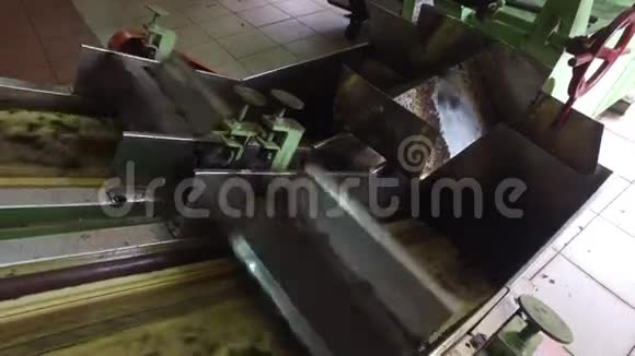 工厂机器输送机上的茶叶原料视频的预览图